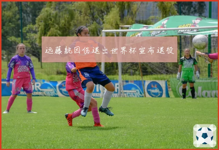 远藤航因伤退出世界杯宣布退役